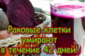Раковые клетки умирают в течение 42 дней: Сок этого знаменитого австрийца спас 45 000 людей от рака и других неизлечимых болезней! (Рецепт)